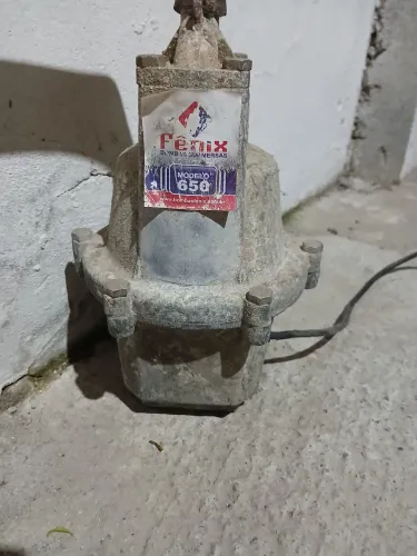 Bomba sapo 
