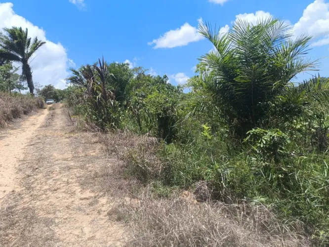 Vendo sítio em Nazaré das farinha Bahia 