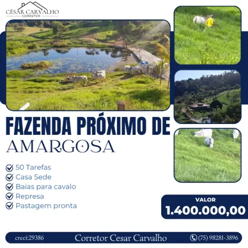 FAZENDA PRÓXIMO DE AMARGOSA - 50 TAREFAS