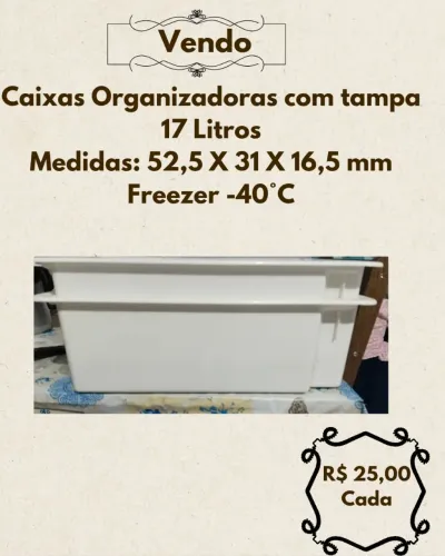 Caixas Organizadoras com Tampa