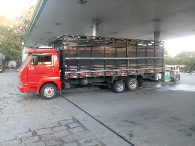 Vendo caminhão boiadeiro....