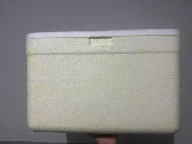 Caixa de isopor 27L