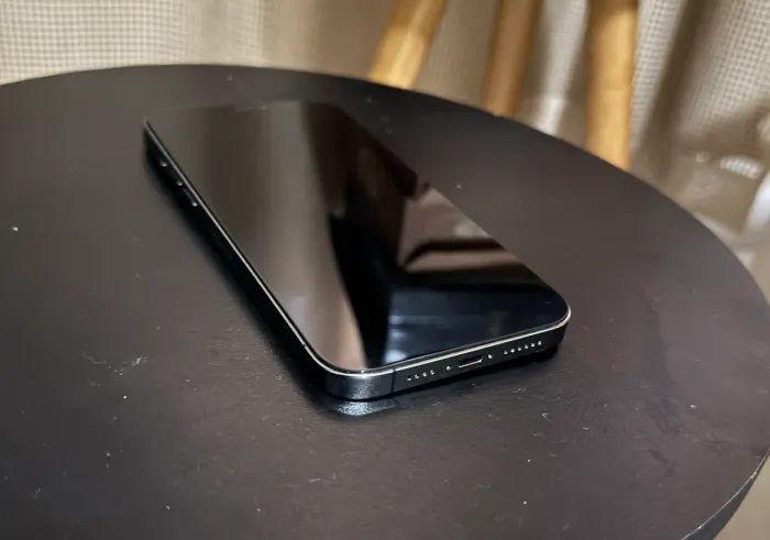 iPhone 12 Pro Max 