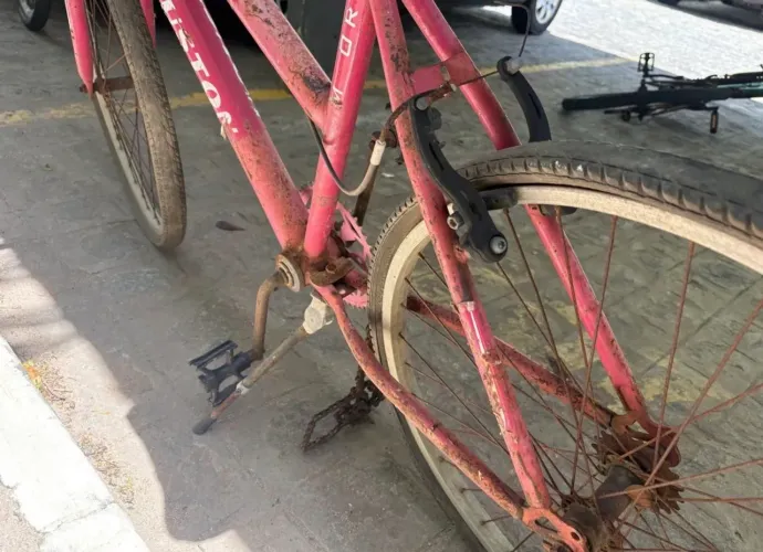 Bicicleta