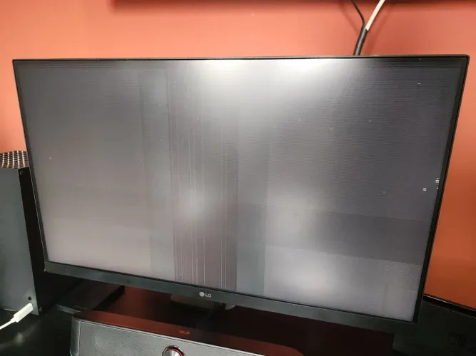 Monitor lg ultragear 24(leia anuncio)