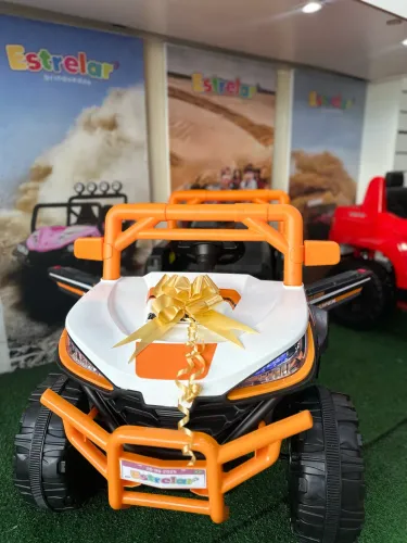 Carros elétricos infantil