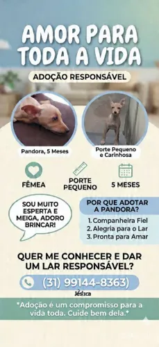 Adoço responsável