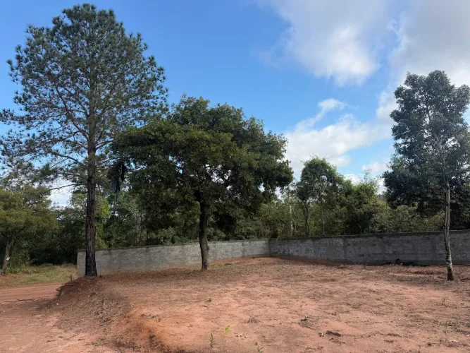 Terreno lindo para chácara, 100% murado e pronto para construir