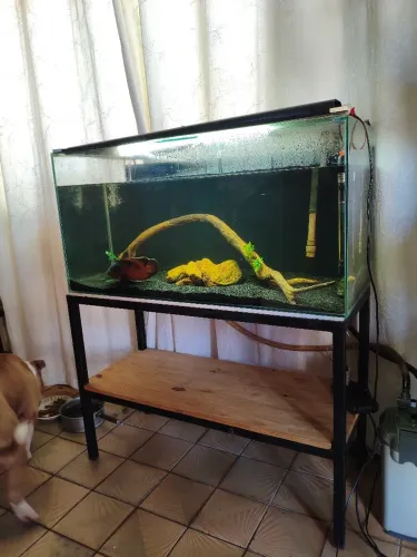 Aquário 200L