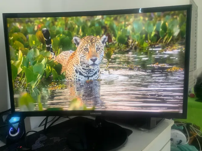Monitor Samsung curvo 24 P