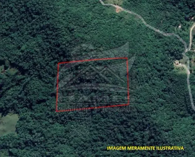 Terreno Rural para Venda em São Pedro de Alcântara, ROCINHA