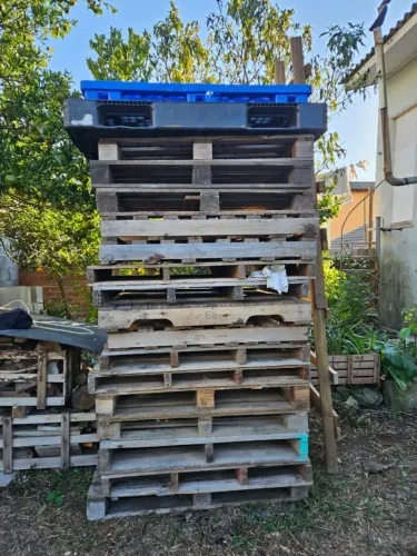 PALETES DE MADEIRA e PLÁSTICO BOM ESTADO