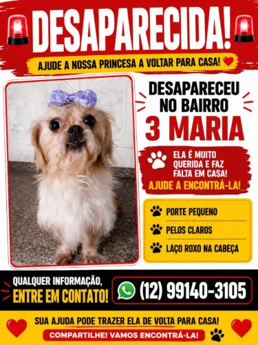 Desaparecida