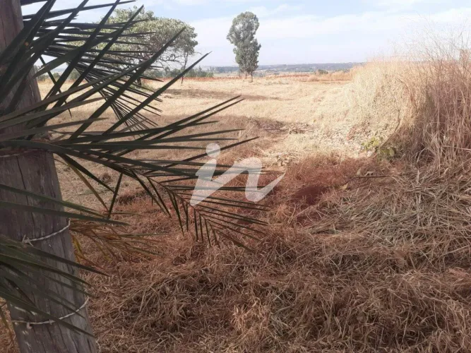 Área à venda, 5 m² por R$ 350.000 - Zona Rural - Uberlândia/Minas Gerais