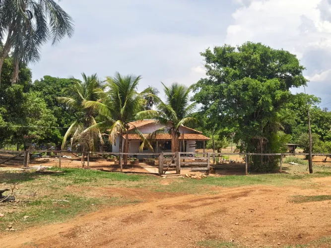 Fazenda 451 Alqueires - Dupla Aptidão!