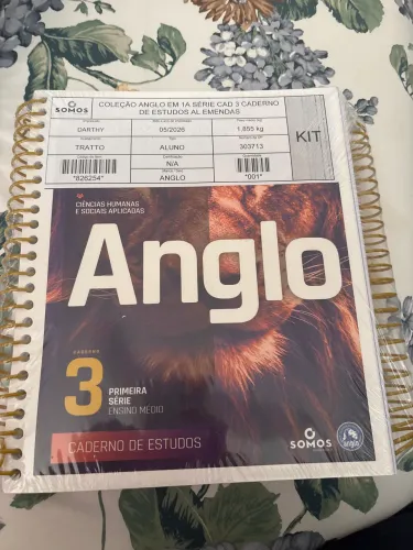 Caderno de estudos anglo