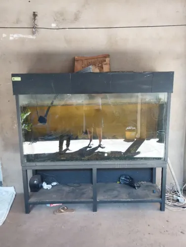 Aquário 1.52x80x30