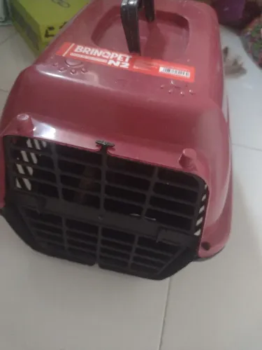 Caixa transporte de animais 