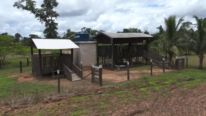 " Chácara dos sonhos, 100% pronta, com animais, pomar irrigado, segurança e lazer em Sinop