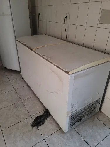 freezer horizontal