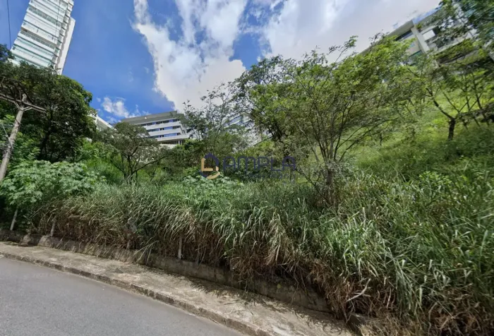 Lote à venda, Santa Lúcia - Belo Horizonte/MG