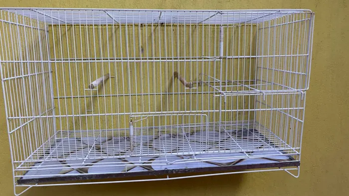 Gaiola para Aves de Epóxi