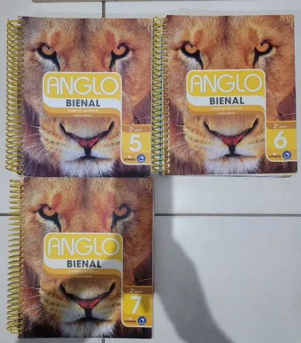 pré-vestibular Anglo Bienal - 2° ano EM