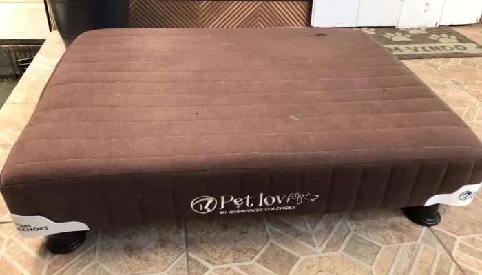 Caminha box para cachorro