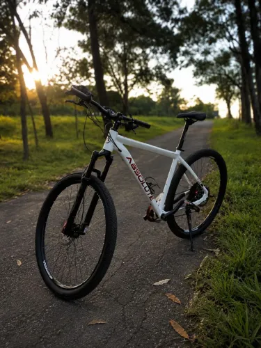 Bike Absolute Aro 29 toda Shimano Deore 12v