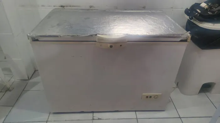 Frezzer horizontal 300l
