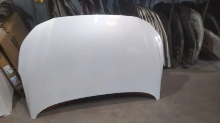 Capo Sentra 2022 2023 2024 2025 2026