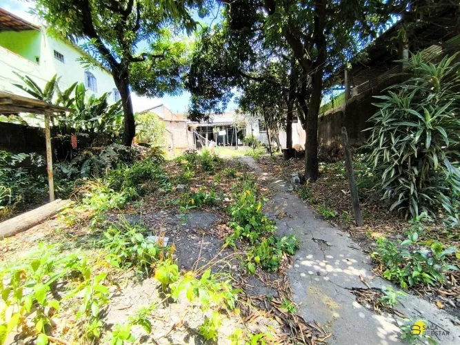 Lote à Venda no Bairro Tirol Belo Horizonte