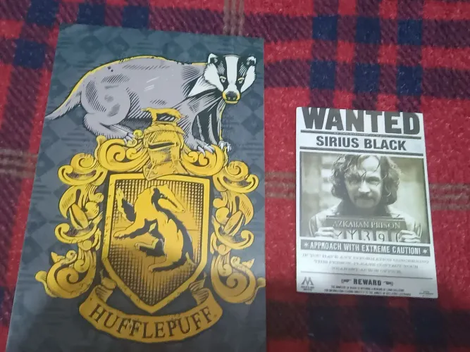 Quadros Harry Potter