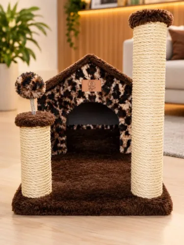 Casinha e arranhador gato