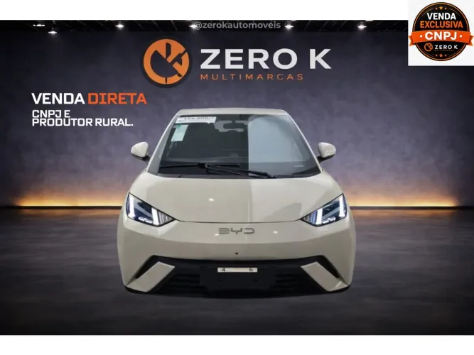 BYD Dolphin Mini (Elétrico) 2027