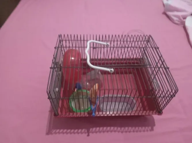 Gaiola para Ramister.