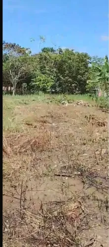 Terreno 10x25 linha progresso