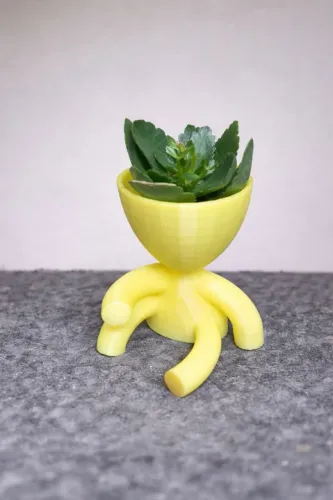 Vaso de planta