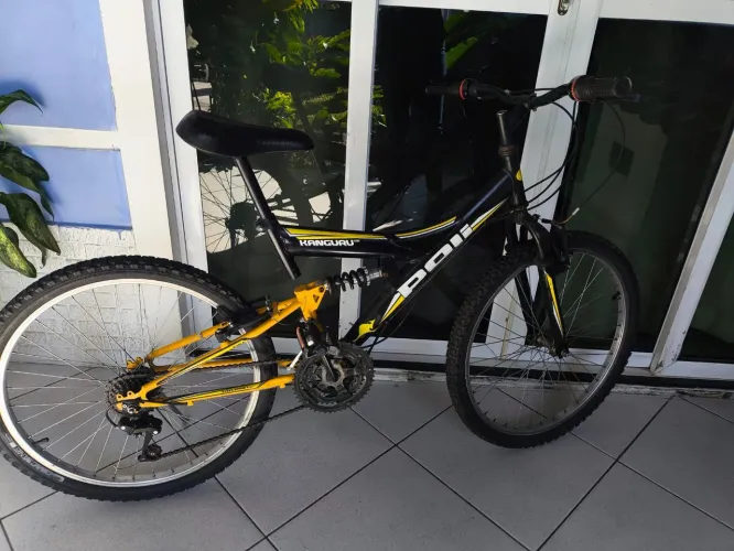 Bicicleta 