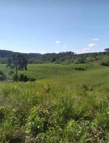 Terreno para Chácara em Mandirituba 6.050 m Próximo à BR-116