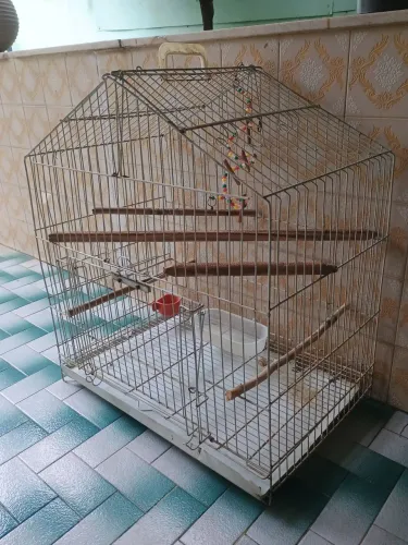 Gaiola para calopsita