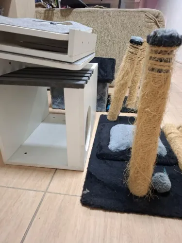 KIT para Gatos