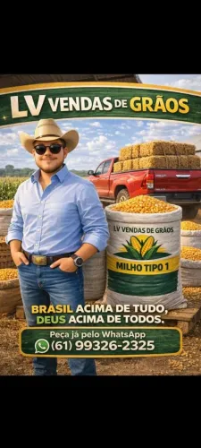 Milho, rações, alimentos.