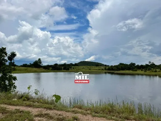 Logística excelente Fazenda 56 alqueires ( 275 hectares ) Faina-GO