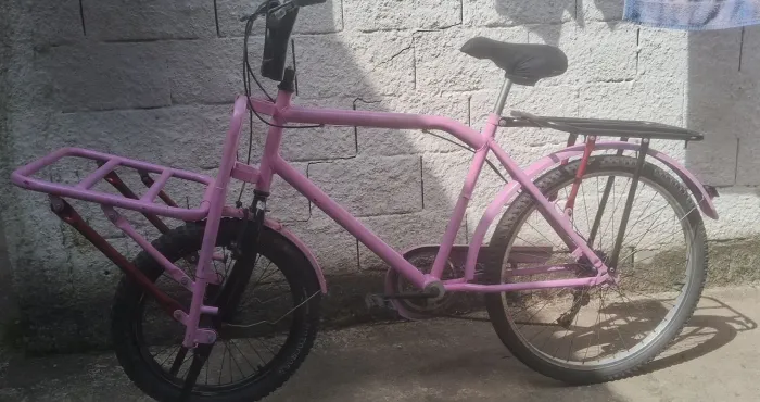 Bicicleta cargueira 