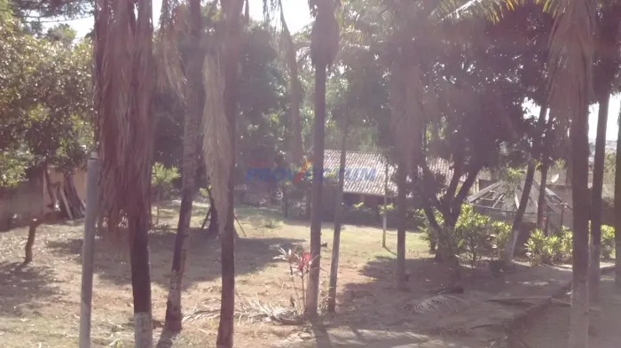 casa - Jardim São Pedro - Campinas