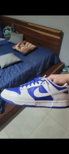 Nike Dunks reverse kentucky - real