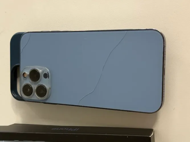iPhone 13 Pro Max 256G