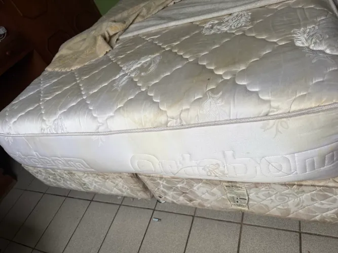 Cama Queen 