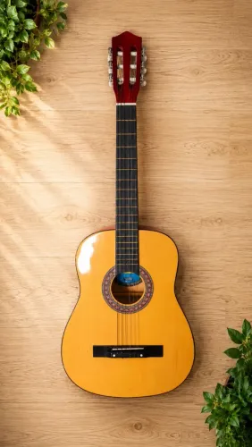 Violão austin + capa